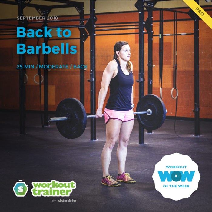 Workout Trainer by Skimble: Pro Workout of the Week: Back to Barbells