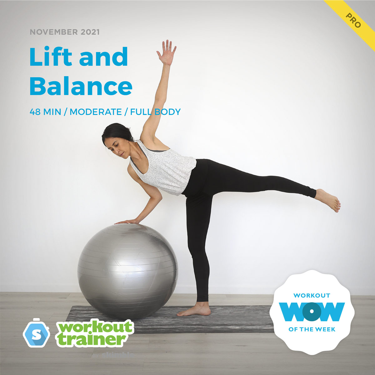 Female Barre Instructor doing standing side-splits with a stability ball